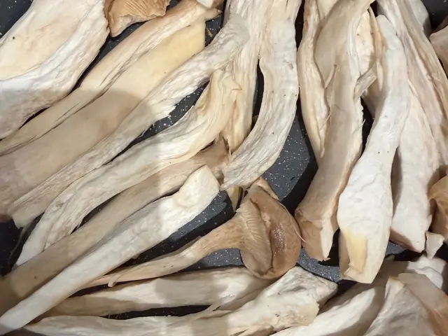 黑胡椒鹽乾煎杏鮑菇｜家常下酒菜 — $<T k="steps" /> 1