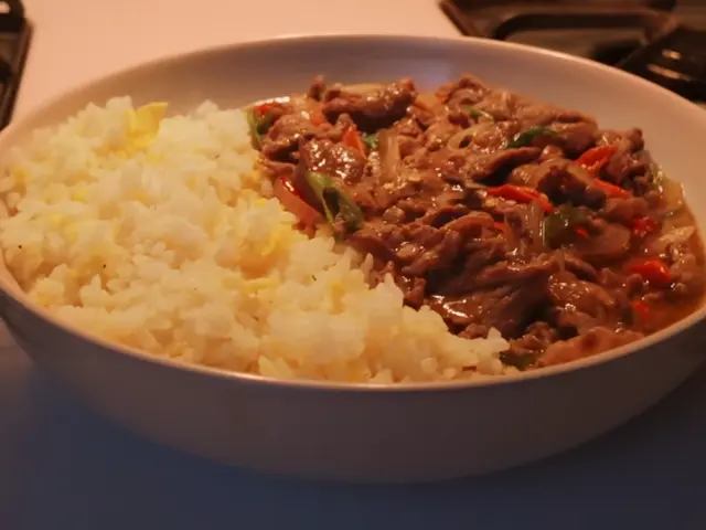 牛肉燴飯