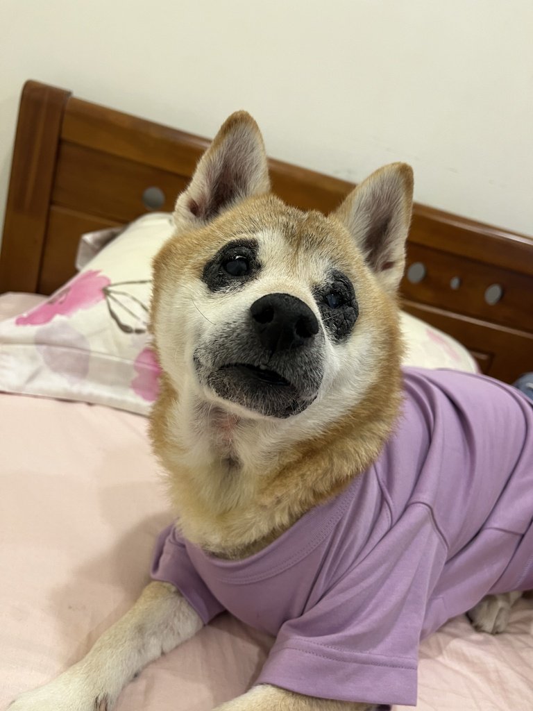 annie
